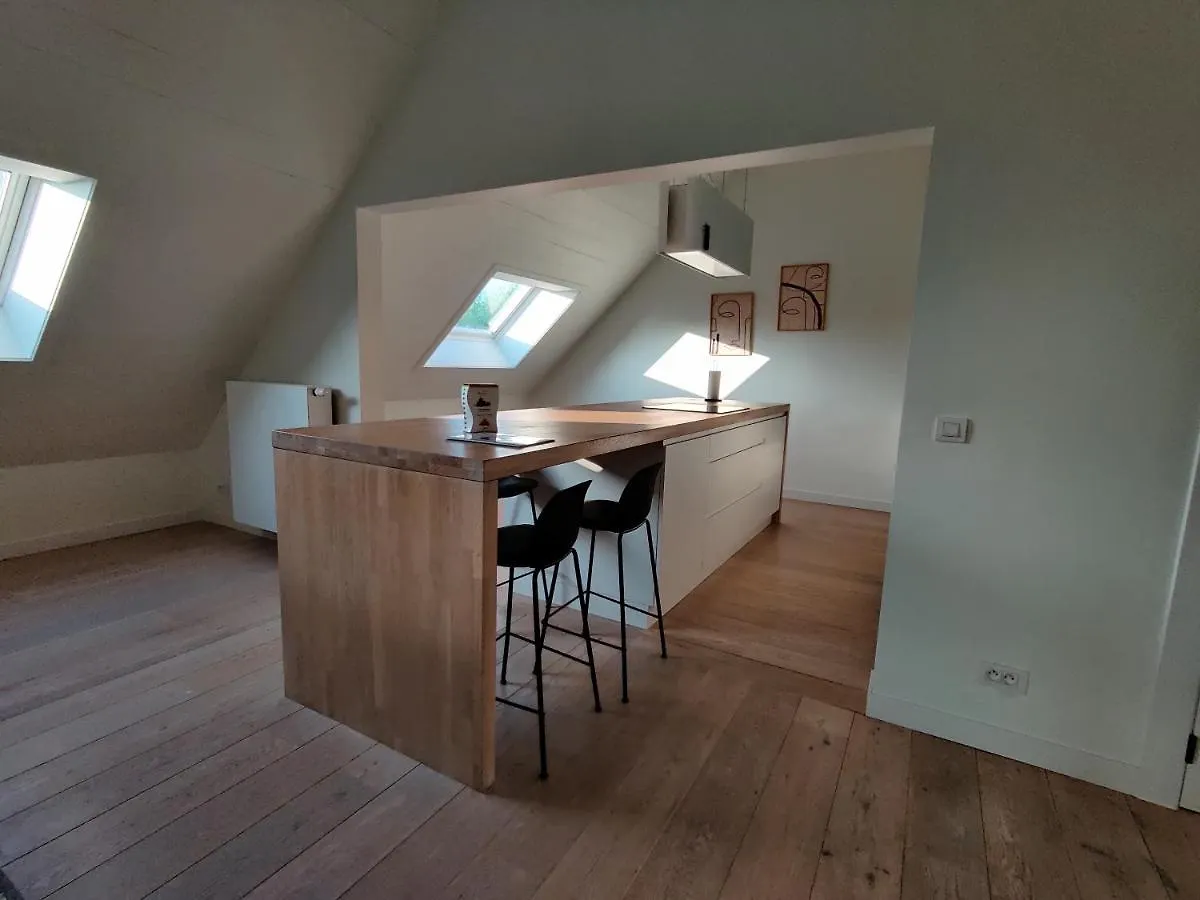 Beautiful 3-Bedroom - 3-Bathroom Appartment Pendula Bruggy Apartmán